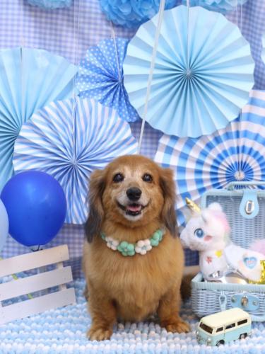 20231115ティアラちゃん